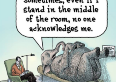 The Elephant in The Room