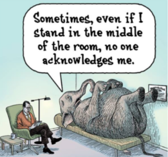 The Elephant in The Room